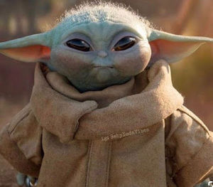 Meet your Posher, Adri